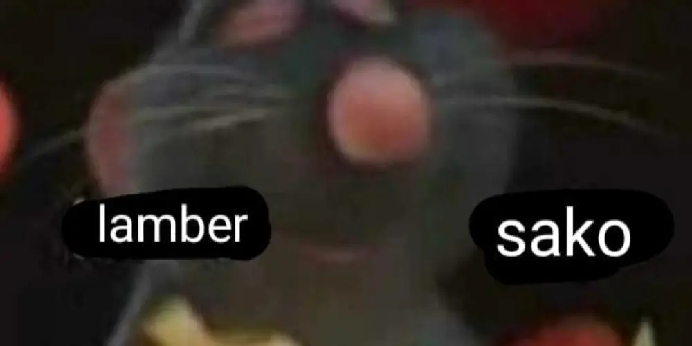 Imagem do grupo de WhatsApp os insanos (3.0)