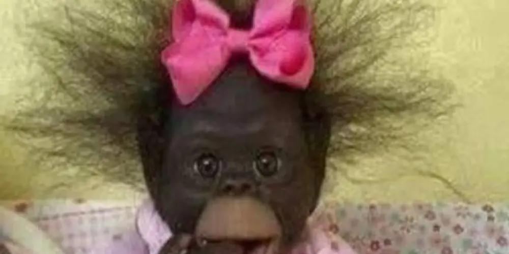 Imagem do grupo de WhatsApp os 💯 limites 😼❌