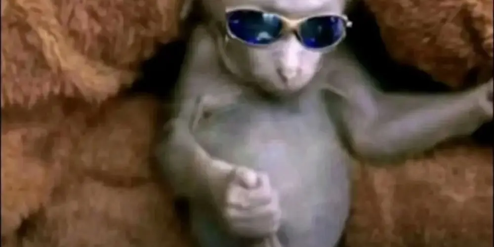 Imagem do grupo de WhatsApp Os loko de recife