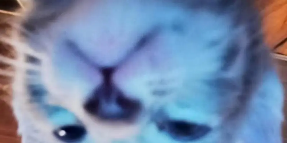 Imagem do grupo de WhatsApp Os Loucamente 💯