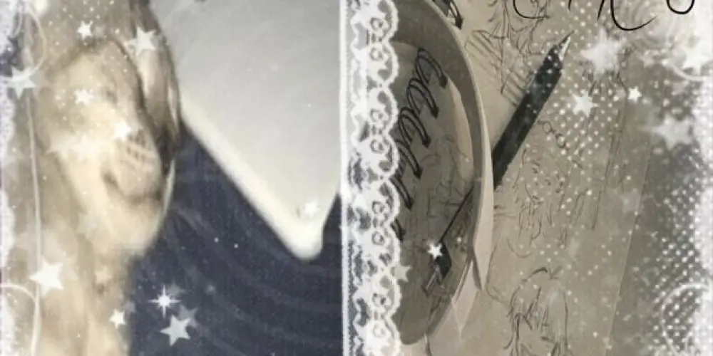 Imagem do grupo de WhatsApp 🤡 Os Loucos da Vila 🤡