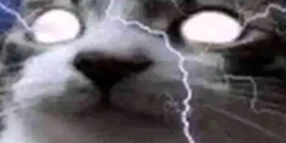 Imagem do grupo de WhatsApp Os Loukos