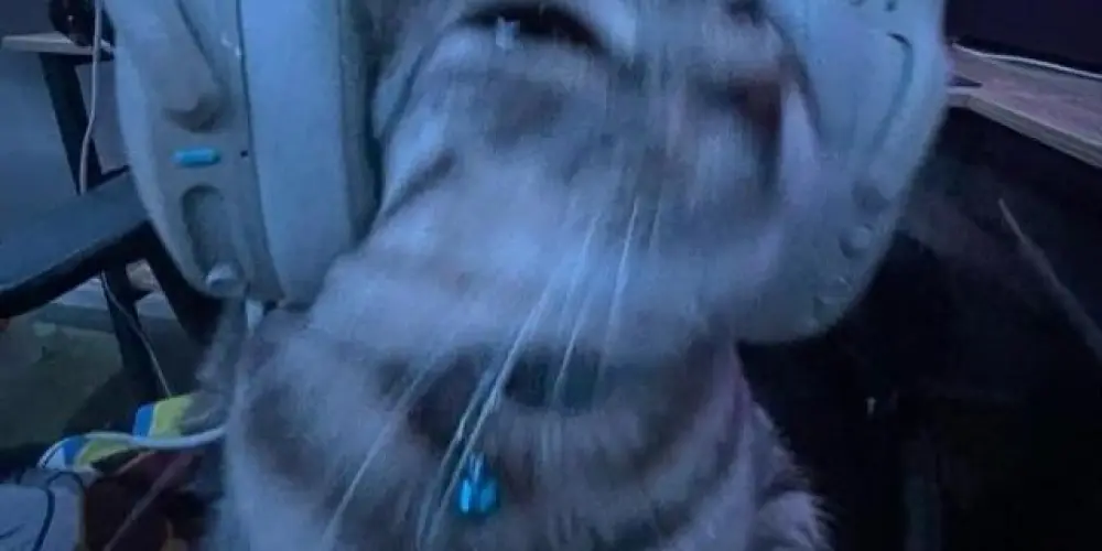 Imagem do grupo de WhatsApp Os mais mais 2.0 🤙🔥