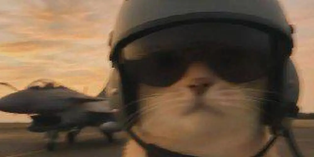 Imagem do grupo de WhatsApp Os mais mais