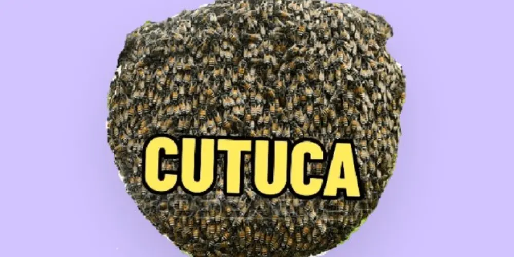 Imagem do grupo de WhatsApp Os mais maís