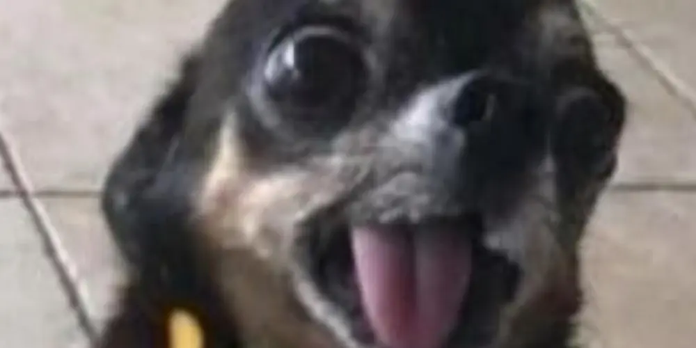 Imagem do grupo de WhatsApp Os mais resenha 🫦