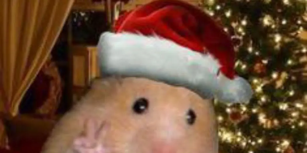 Imagem do grupo de WhatsApp Os mais resenhas 🫦