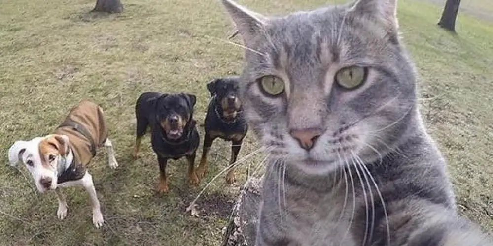 Imagem do grupo de WhatsApp Os malucos 2