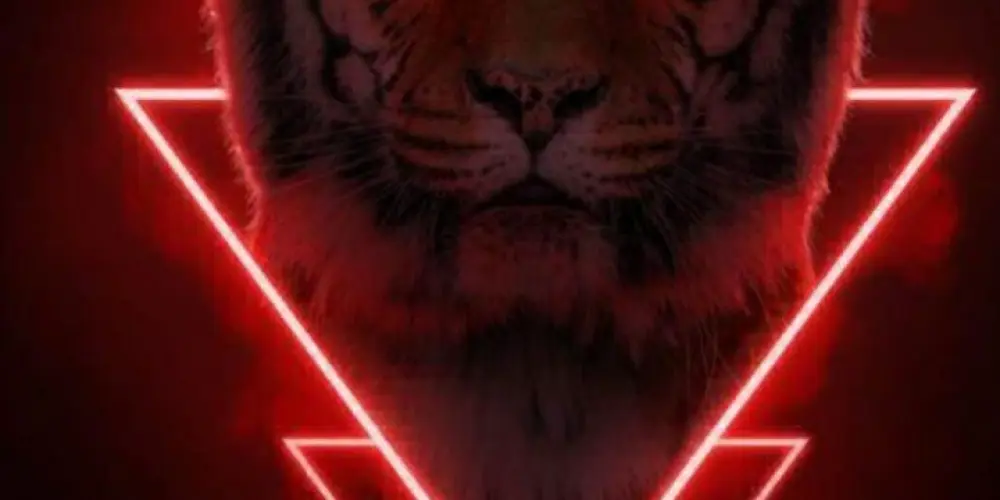 Imagem do grupo de WhatsApp OS MELHORES AMIGOS