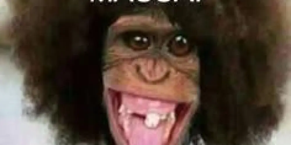 Imagem do grupo de WhatsApp Os melhores do Bairo goia 😎😎