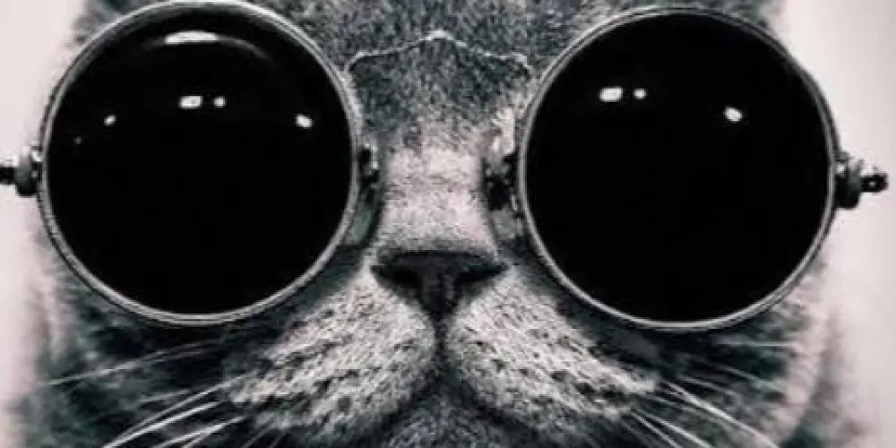 Imagem do grupo de WhatsApp Os mídia 😎👻💥