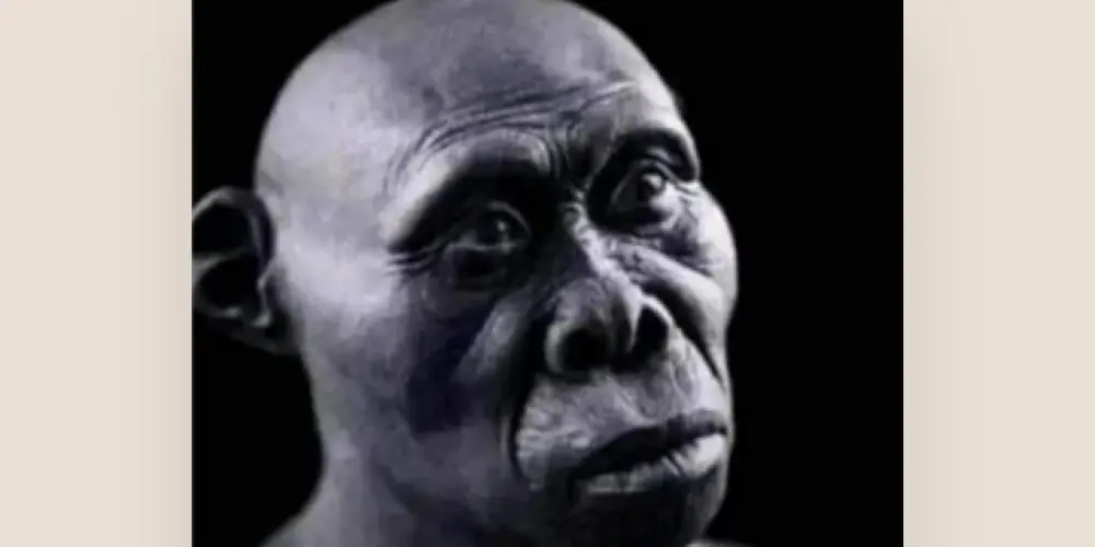 Imagem do grupo de WhatsApp Os Paranormais