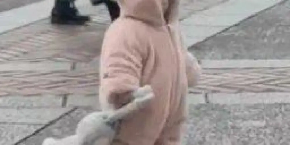 Imagem do grupo de WhatsApp ° Os problemáticos°🎀🤓