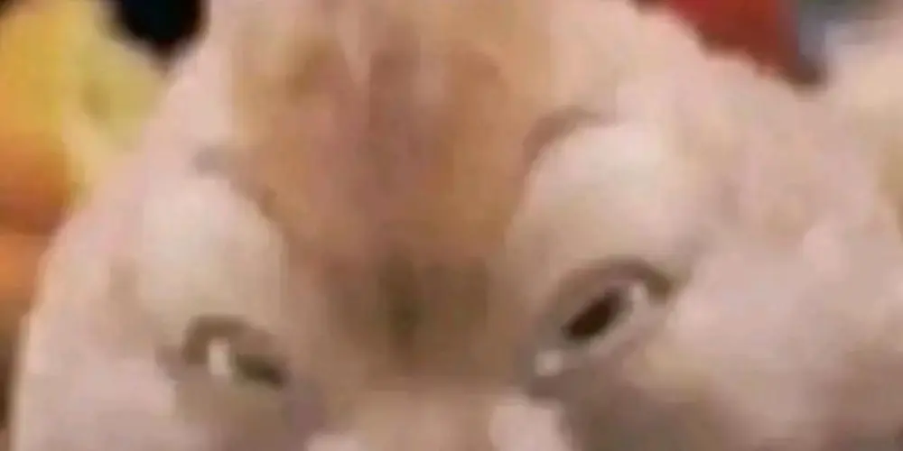 Imagem do grupo de WhatsApp OS PROTAGONISTAS 😎