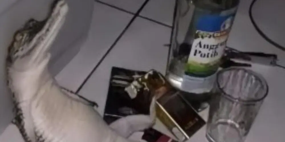 Imagem do grupo de WhatsApp Os relaxados 🔥👑