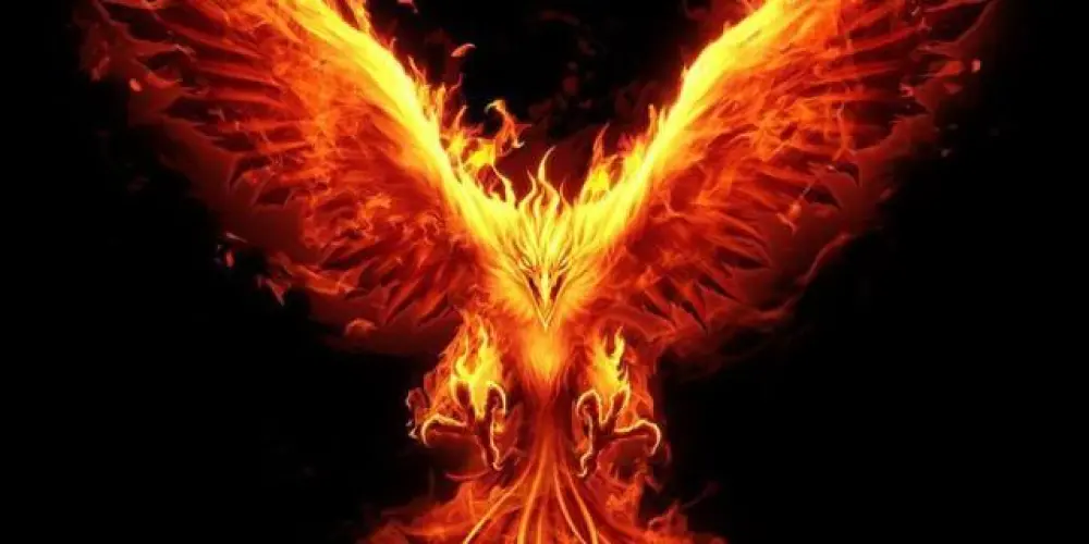 Imagem do grupo de WhatsApp Os Renascidos das cinzas💸