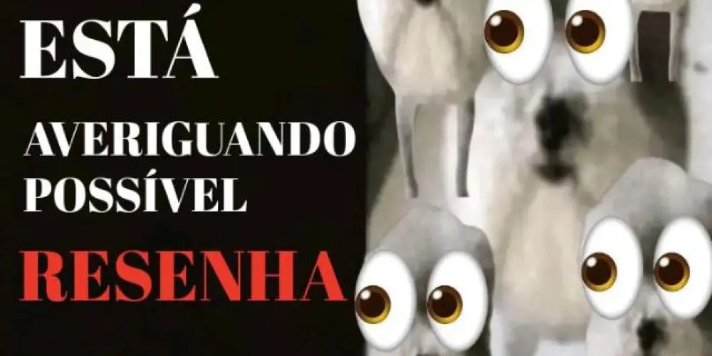 Imagem do grupo de WhatsApp Os Resenheiros.