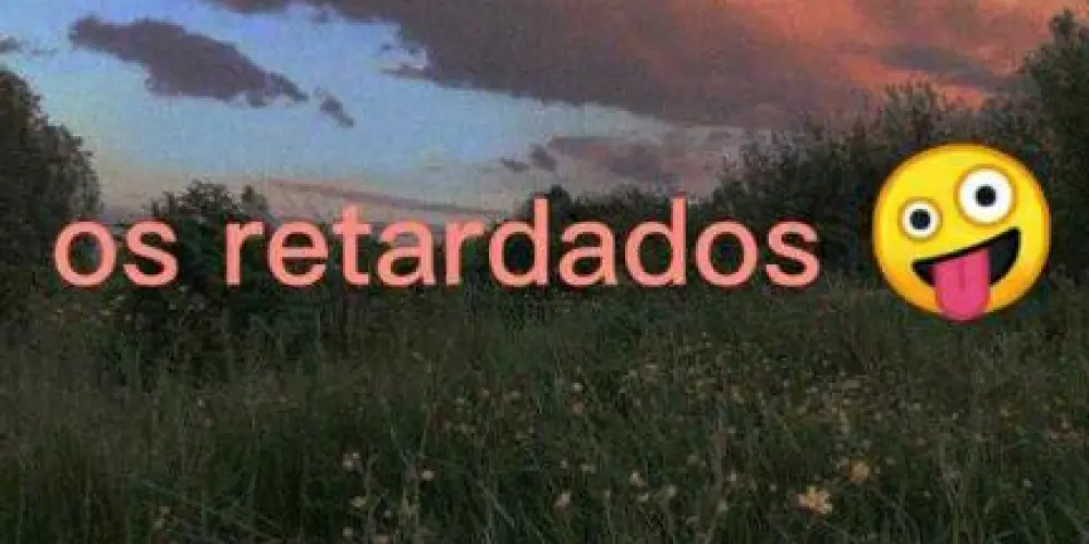 Imagem do grupo de WhatsApp Os retardados 🤪