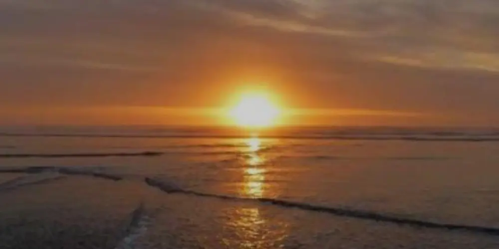 Imagem do grupo de WhatsApp Os 💯sacionais