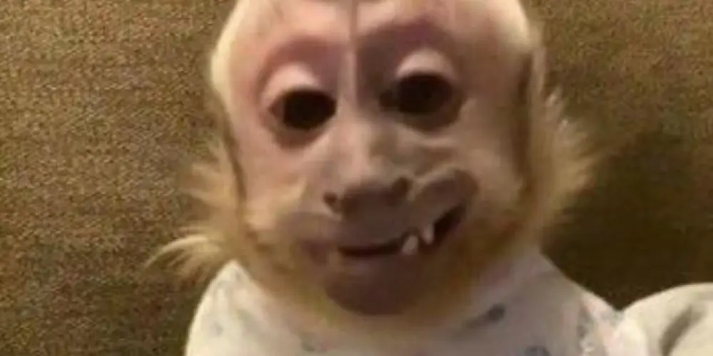 Imagem do grupo de WhatsApp Os ɱɑsʠʋeicσs 💨