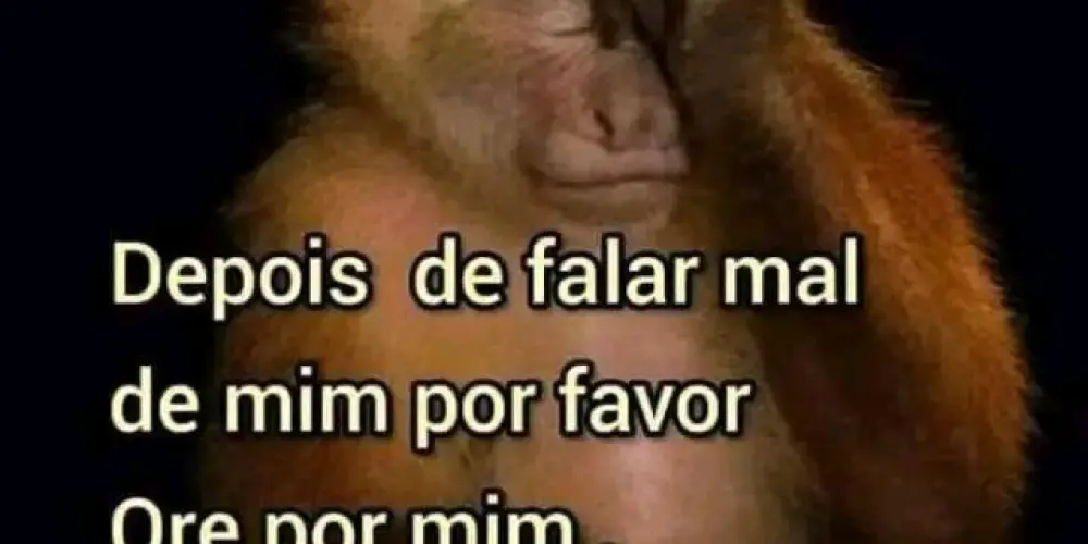 Imagem do grupo de WhatsApp Os sem chão 2😎💪🏼