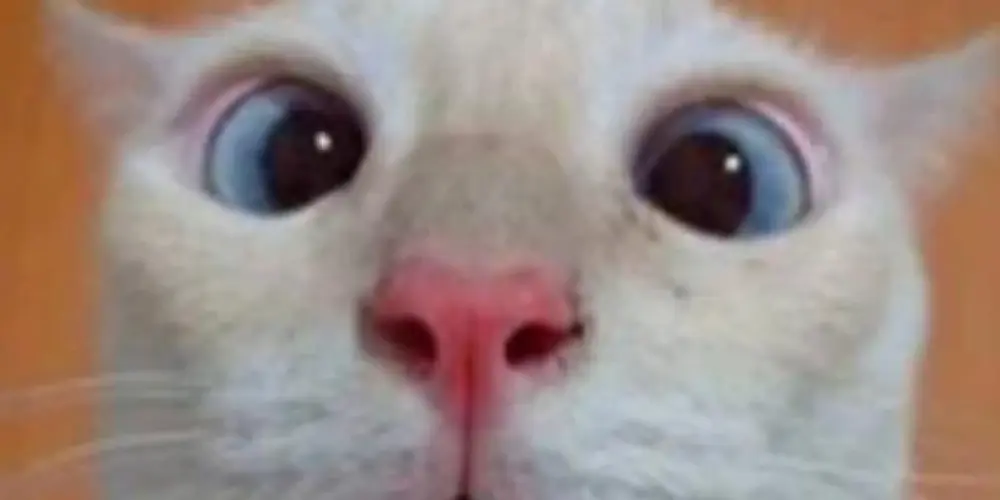 Imagem do grupo de WhatsApp Os sem futuro 😅