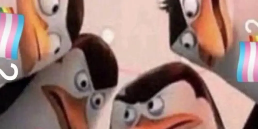 Imagem do grupo de WhatsApp Os Sem Futuro 💤