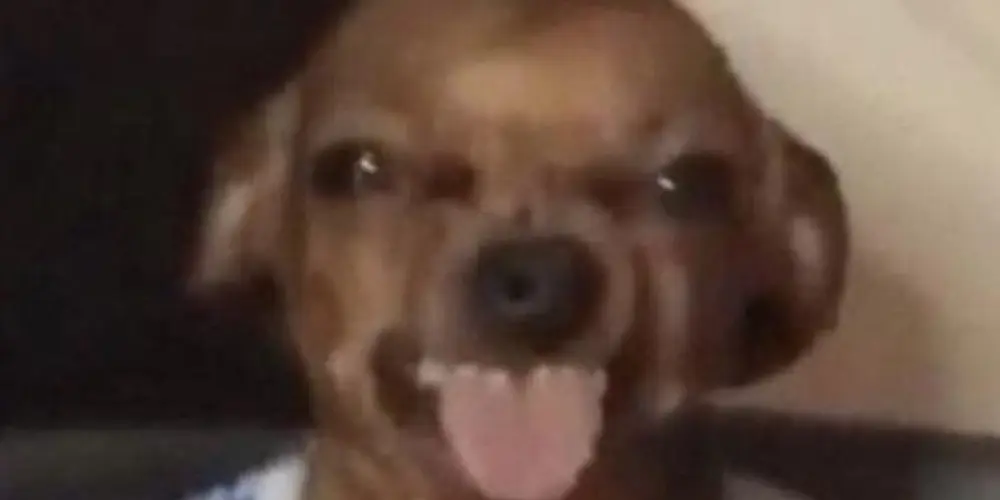 Imagem do grupo de WhatsApp Os sem limite 💯💥