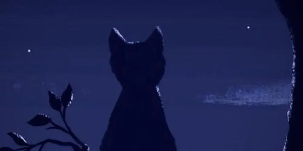 Imagem do grupo de WhatsApp "Os sem noção"📝😎