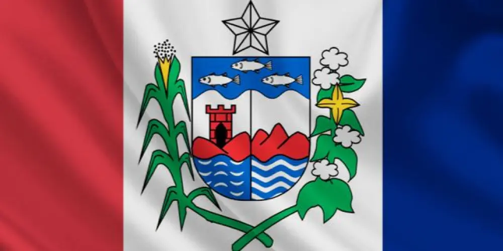 Imagem do grupo de WhatsApp - 🇵🇾 ᗩᒪᗩＧOᗩS ᗷᖇᗩSIᒪ