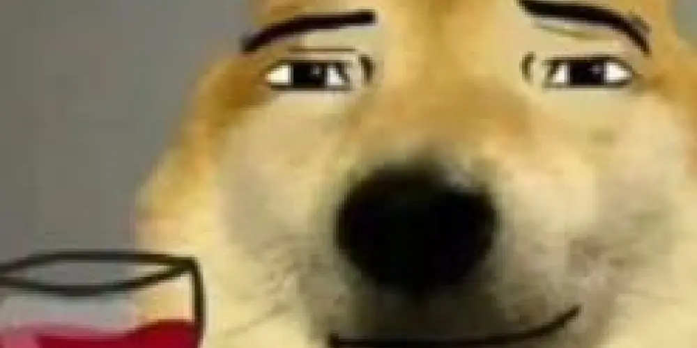 Imagem do grupo de WhatsApp 🗿Os sigma da Bahia🗿