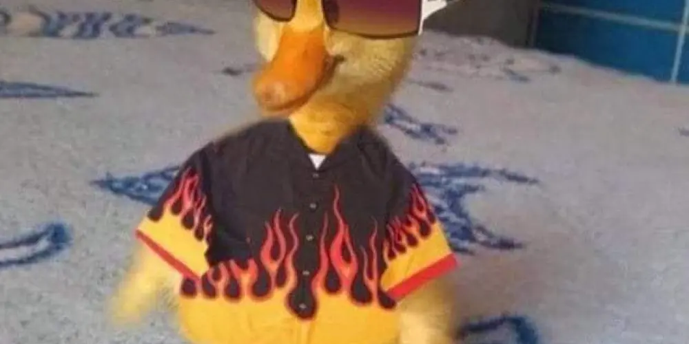 Imagem do grupo de WhatsApp os tralha 🫦🤟🏻