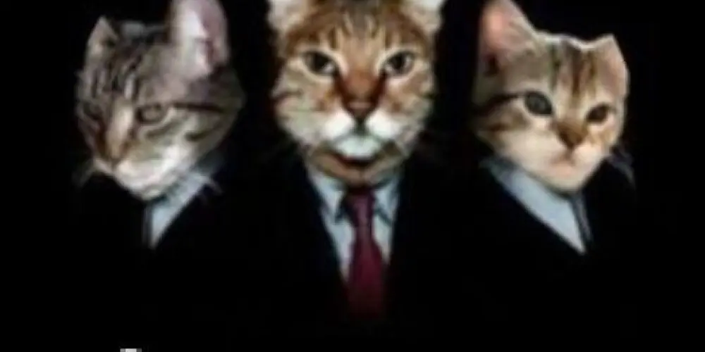 Imagem do grupo de WhatsApp Os trutas