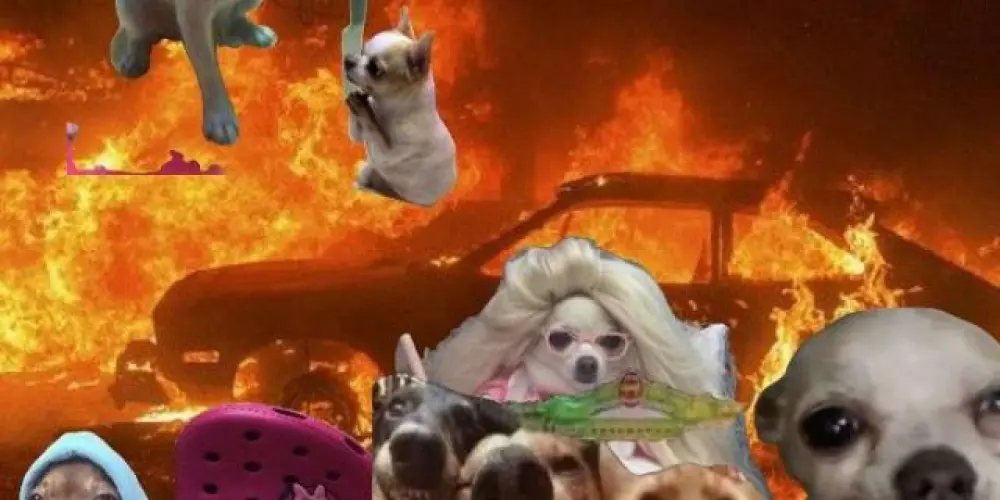 Imagem do grupo de WhatsApp Os últimos neurônio