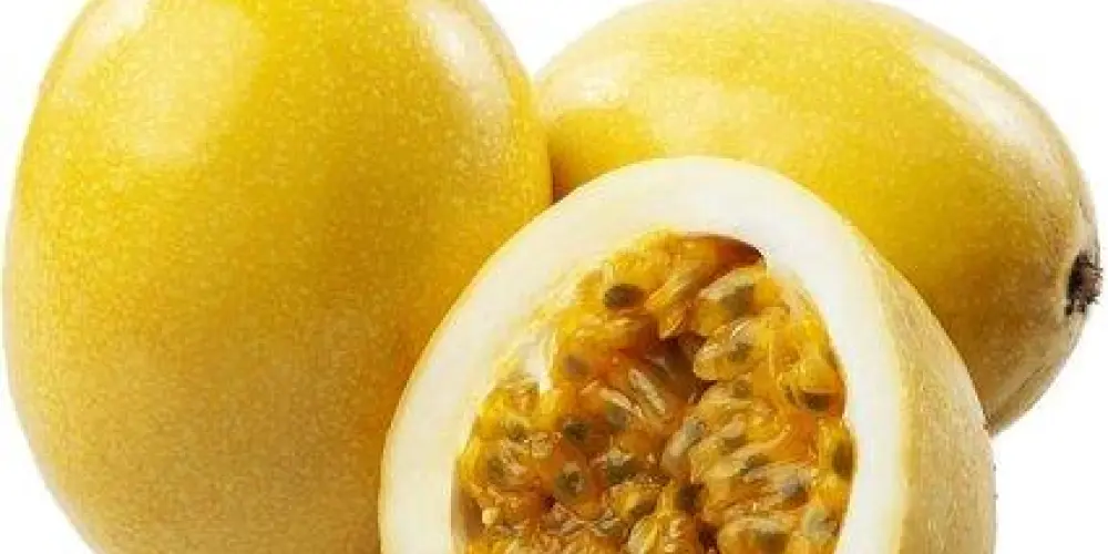 Imagem do grupo de WhatsApp os vagabundos