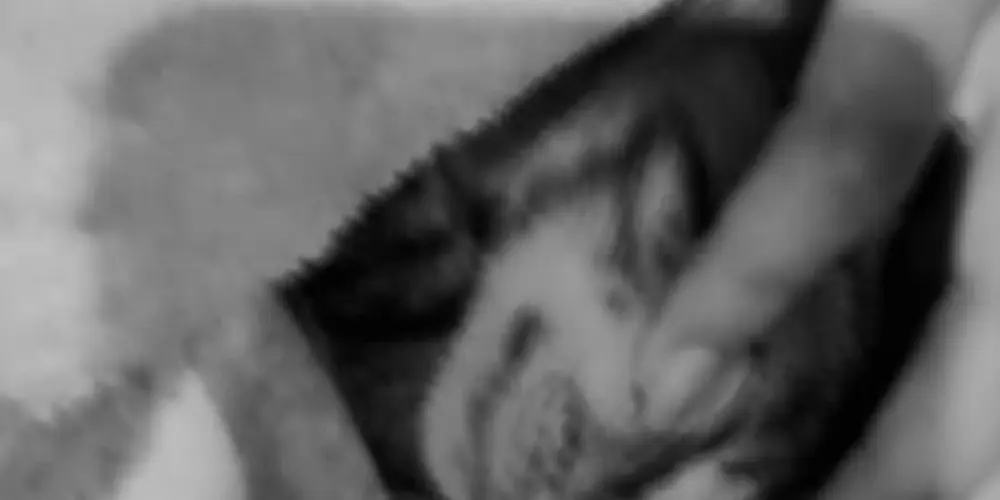 Imagem do grupo de WhatsApp Os viadados 2.0