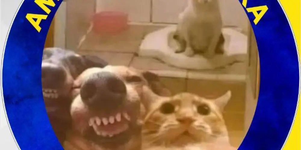 Imagem do grupo de WhatsApp !ᗩᘻ工ᘜOSﾠᕲᗩﾠ乙ᑘᘿ工ᖇᗩﾠㅤxpㅤ★