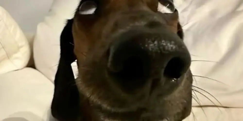 Imagem do grupo de WhatsApp օՏ Տҽʍ ղօϲ̧ɑ̃օ™ 🤪