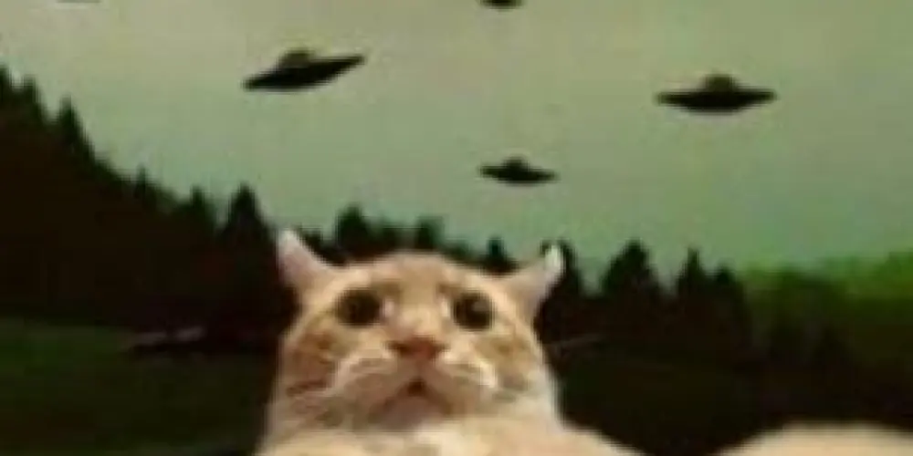 Imagem do grupo de WhatsApp ᑕOᘉᕮᑕTᗩᗞOS ᑭOᖇ ᗩᑕᗩSO 📱