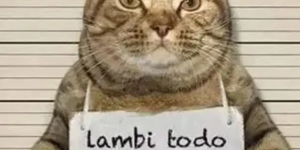 Imagem do grupo de WhatsApp ꧁ঔৣ☬✞ Chat da titia milly ✞☬ঔৣ꧂