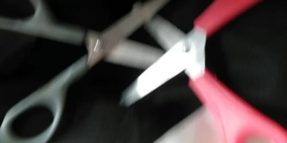 Imagem do grupo de WhatsApp ꧁ঔৣ☬✞ 🏳️‍🌈Mundinhodassapas🏳️‍🌈 ✞☬ঔৣ꧂