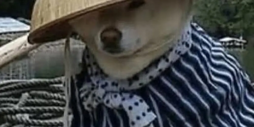 Imagem do grupo de WhatsApp ঔৣ͜͡➳令𝚴𝐄𝐖  ORDEM 🔥፝⃟ ꙳ 🇧🇷