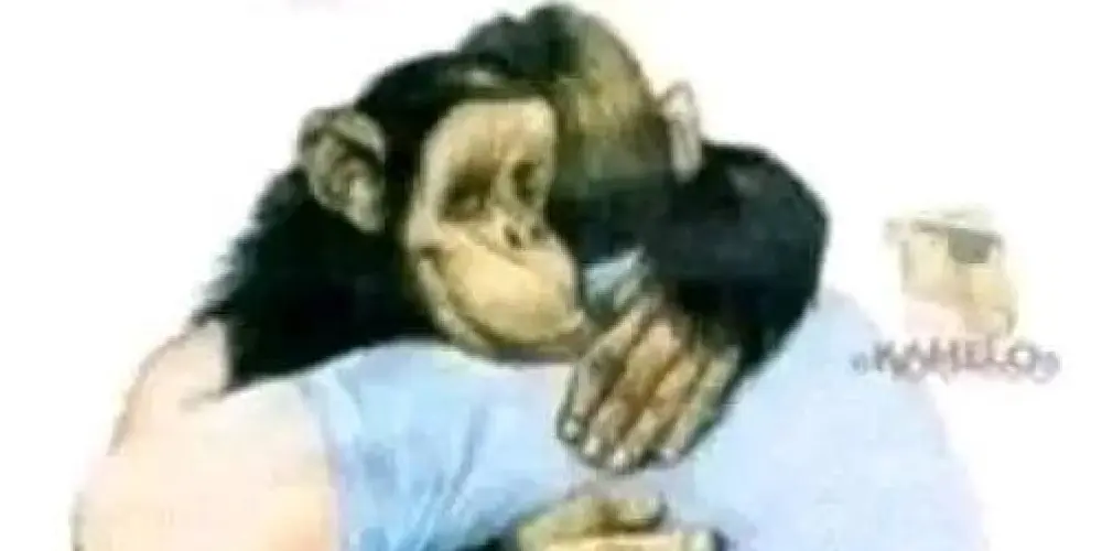 Imagem do grupo de WhatsApp ঔৣ͜͡➳令𝚴𝐄𝐖  ORDEM 🔥፝⃟ ꙳ 🇧🇷