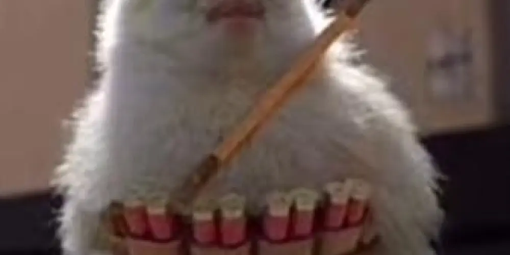 Imagem do grupo de WhatsApp ঔৣ͜͡➳令𝚴𝐄𝐖  ORDEM 🔥፝⃟ ꙳ 🇧🇷