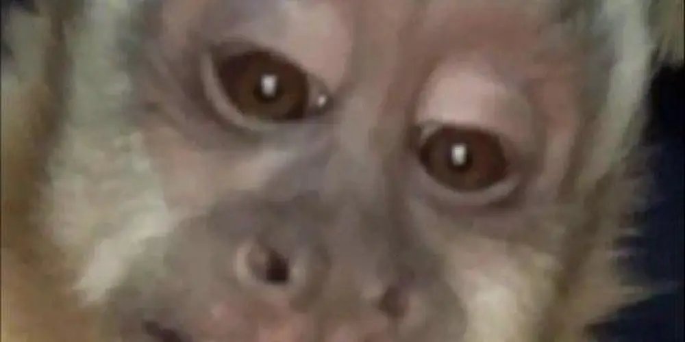 Imagem do grupo de WhatsApp ঔৣ͜͡𝓜𝓲𝓵 ᭰ 𝓰𝓻𝓪𝓾ۥꪶ͢ঔৣ͜͡ۥꪶ͢