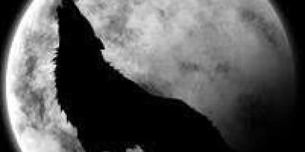 Imagem do grupo de WhatsApp Pain war