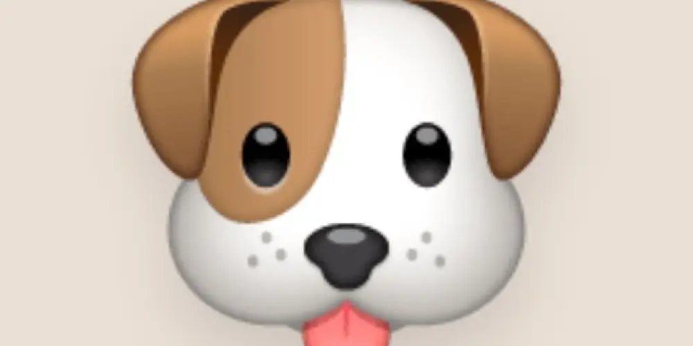 Imagem do grupo de WhatsApp Pais De Pet