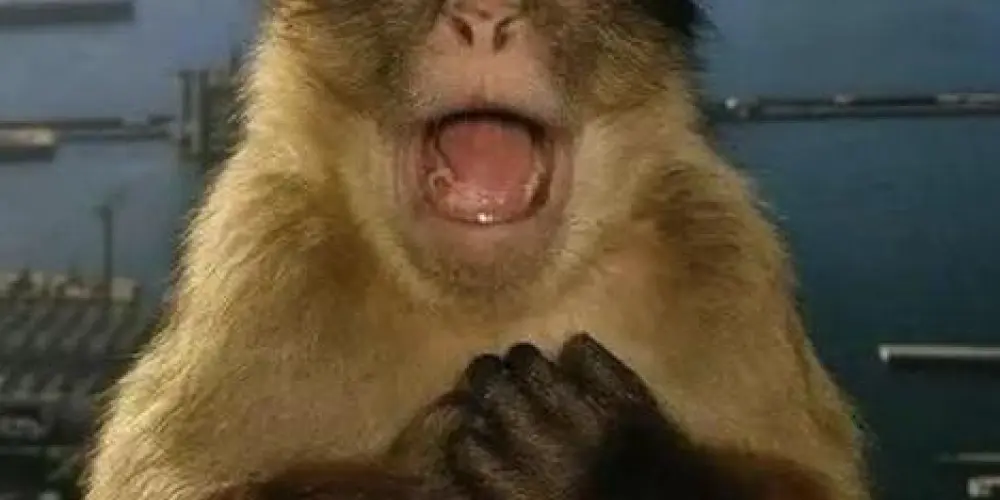 Imagem do grupo de WhatsApp 💯 PAIXÃO