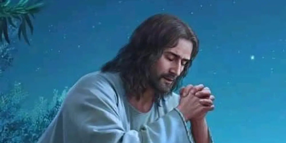 Imagem do grupo de WhatsApp Palavra de Deus🙏🏻