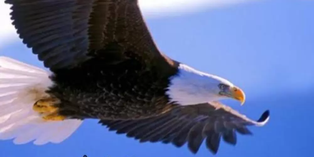 Imagem do grupo de WhatsApp Palavra de Deus para nosso dia dia